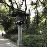 明治神宮の写真・動画_image_330449