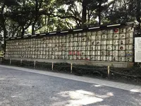 明治神宮の写真・動画_image_330450