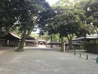 明治神宮の写真・動画_image_330454