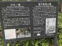 白糸の滝の写真・動画_image_330462