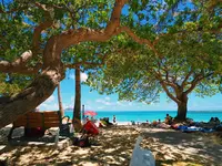 Haleiwa（ハレイワ）の写真・動画_image_330478