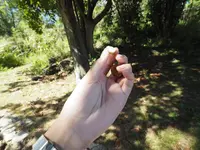 ハワイ プランテーション ビレッジの写真・動画_image_330539