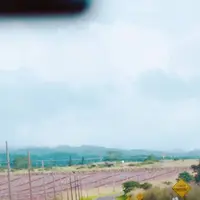 ディリンガム飛行場の写真・動画_image_330548