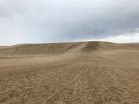 鳥取砂丘の写真・動画_image_330803