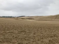 鳥取砂丘の写真・動画_image_330804