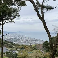 石垣山一夜城歴史公園の写真・動画_image_330895