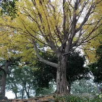 石垣山一夜城歴史公園の写真・動画_image_330896