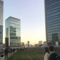 KITTEの写真・動画_image_330907