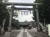 浅草神社（三社さま）の写真・動画_image_330919