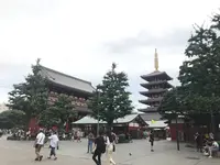 浅草寺の写真・動画_image_330920
