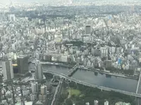 東京スカイツリーの写真・動画_image_330965