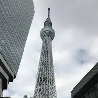 東京スカイツリーの写真・動画_image_330966
