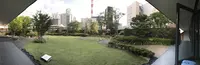 歌舞伎座の写真・動画_image_331034