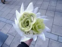 尾道市の写真・動画_image_331185