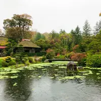 河口湖の写真・動画_image_331228