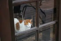 侯硐の写真・動画_image_331250