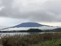 河口湖自然生活館の写真・動画_image_331256