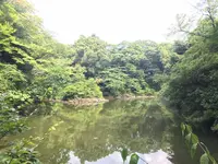 東京大学の写真・動画_image_331277