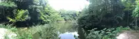 東京大学の写真・動画_image_331278