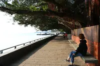 淡水老街（Tamsui Old Street）の写真・動画_image_331317