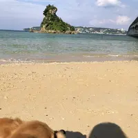 古宇利島の写真・動画_image_331339