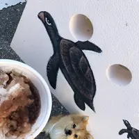 新垣ぜんざい屋の写真・動画_image_331341
