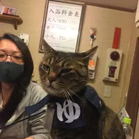 喜楽湯の写真・動画_image_331424