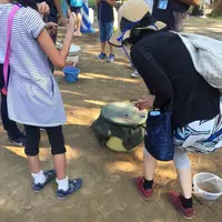 松陰神社の写真・動画_image_331449