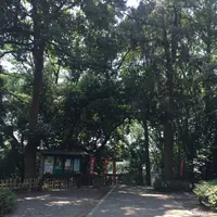 松陰神社の写真・動画_image_331450