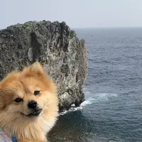 辺戸岬の写真・動画_image_331618