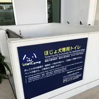 那覇空港の写真・動画_image_331732