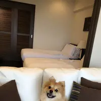 カフーリゾートフチャク コンドホテルの写真・動画_image_331735