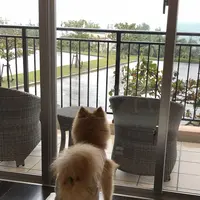 カフーリゾートフチャク コンドホテルの写真・動画_image_331738