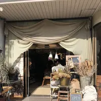 Decorの写真・動画_image_331851