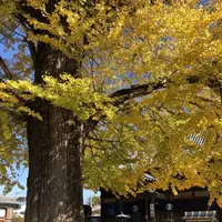 地蔵寺の写真・動画_image_332044