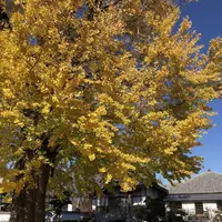 地蔵寺の写真・動画_image_332045