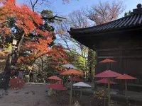 川越大師 喜多院の写真・動画_image_332285