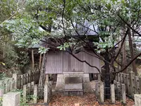 おのころ神社の写真・動画_image_332546