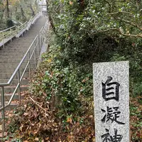 おのころ神社の写真・動画_image_332548