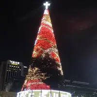 光化門広場/クァンファムンクァンジャン/광화문광장の写真・動画_image_332629