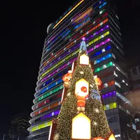 光化門広場/クァンファムンクァンジャン/광화문광장の写真・動画_image_332631