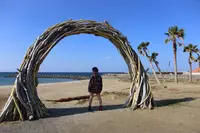 #ジハングンの写真・動画_image_333358
