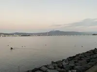ロイヤル オーク ホテル スパ&ガーデンズの写真・動画_image_333613