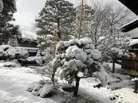 高山陣屋の写真・動画_image_333741