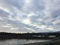 中華料理新中華の写真・動画_image_333775