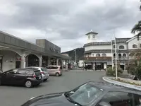 ペリーロードの写真・動画_image_333858