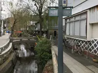 ペリーロードの写真・動画_image_333864