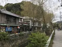 ペリーロードの写真・動画_image_333870