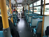 ペリーロードの写真・動画_image_333871