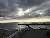 ペリーロードの写真・動画_image_333872